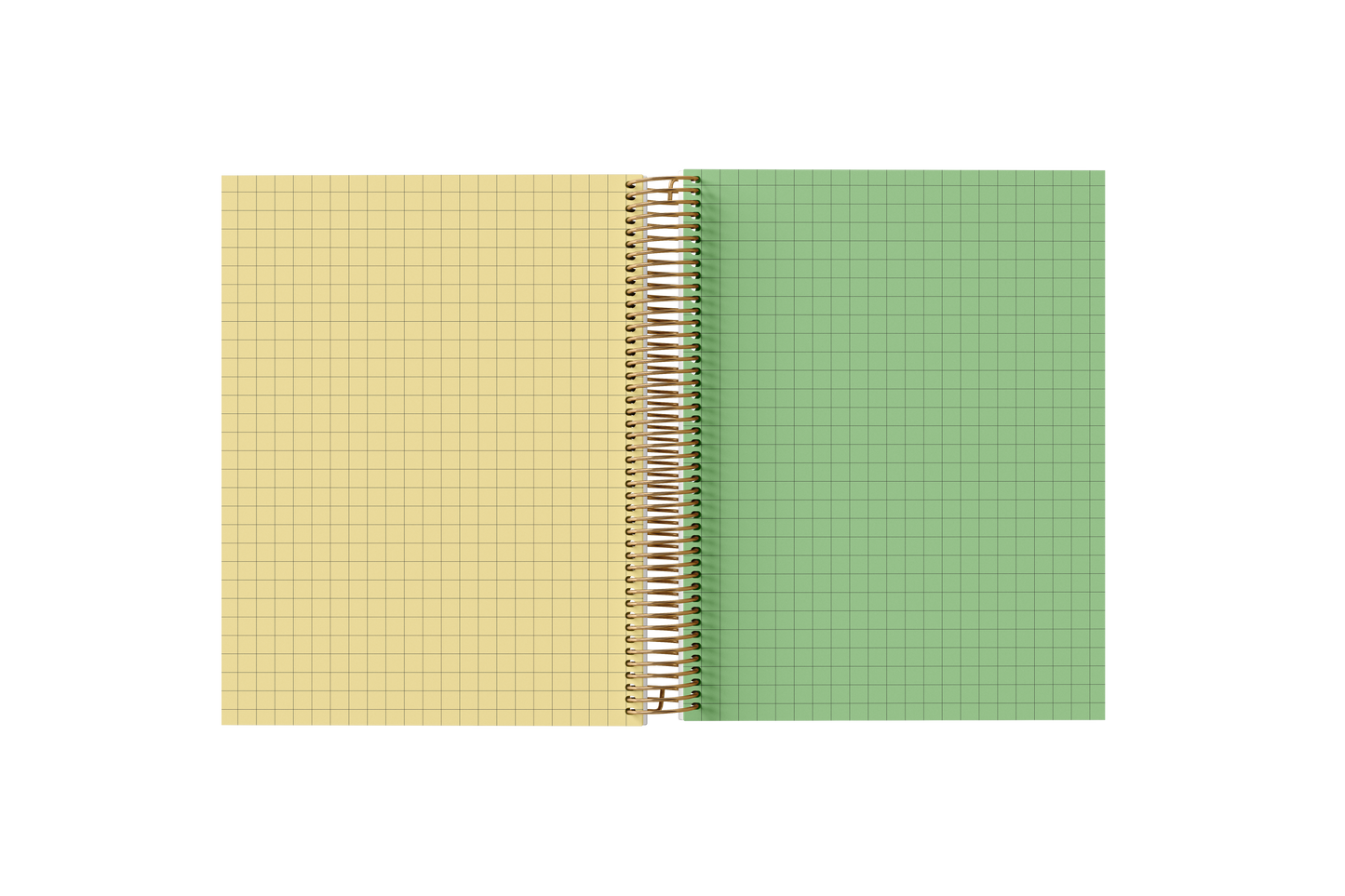 Graph Paper Holographic Notebook by BERTEAU & Co.