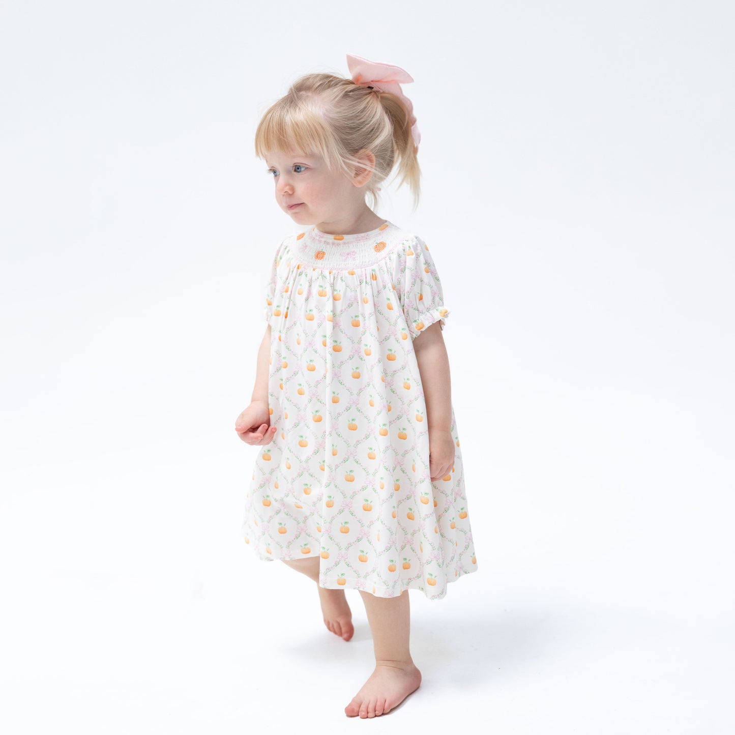 Pretty Pumpkin Trellis - Jane Puff Sleeve Bishop Dress and Bloomer