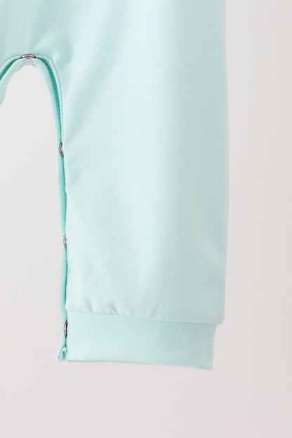 Blue goose embroidery romper