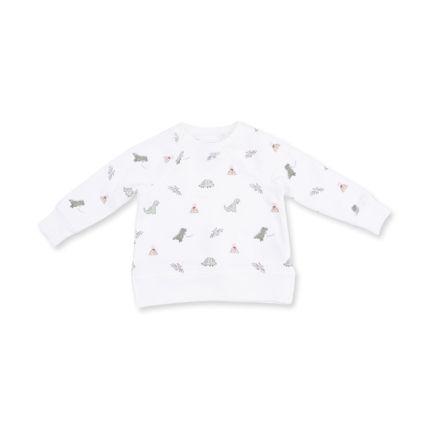 Dinos - Raglan Sweatshirt
