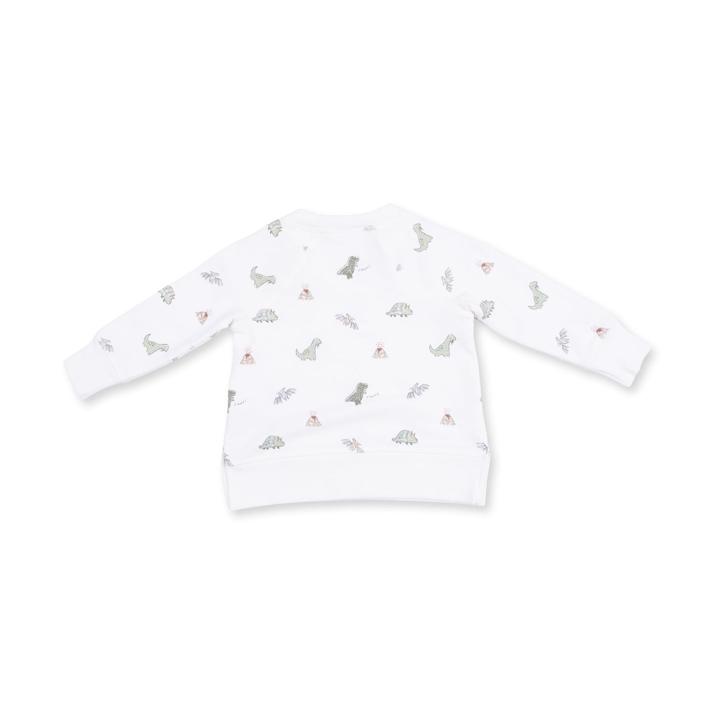 Dinos - Raglan Sweatshirt