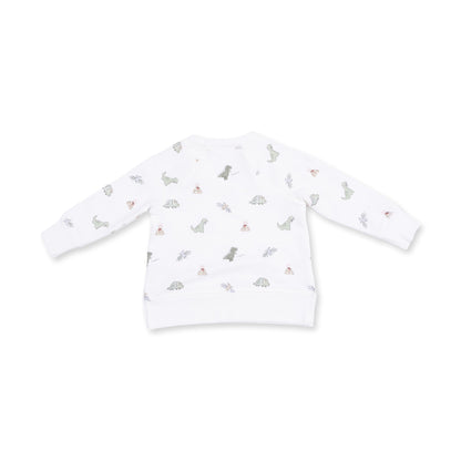Dinos - Raglan Sweatshirt
