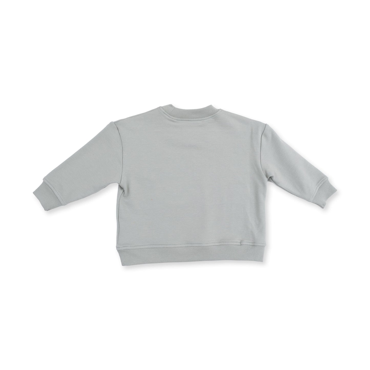 Dinos - Drop Sleeve Sweatshirt