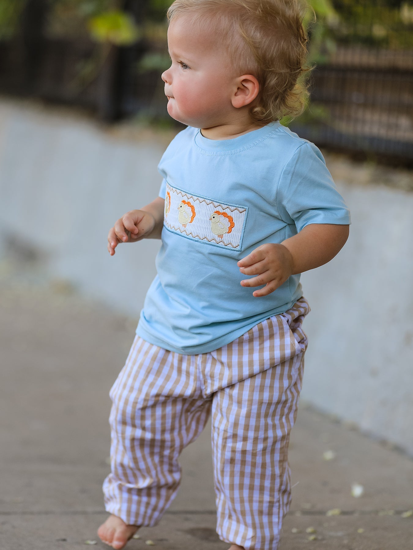 Fall Thanksgiving Plaid Chick Embroidery Smocking Boys Set