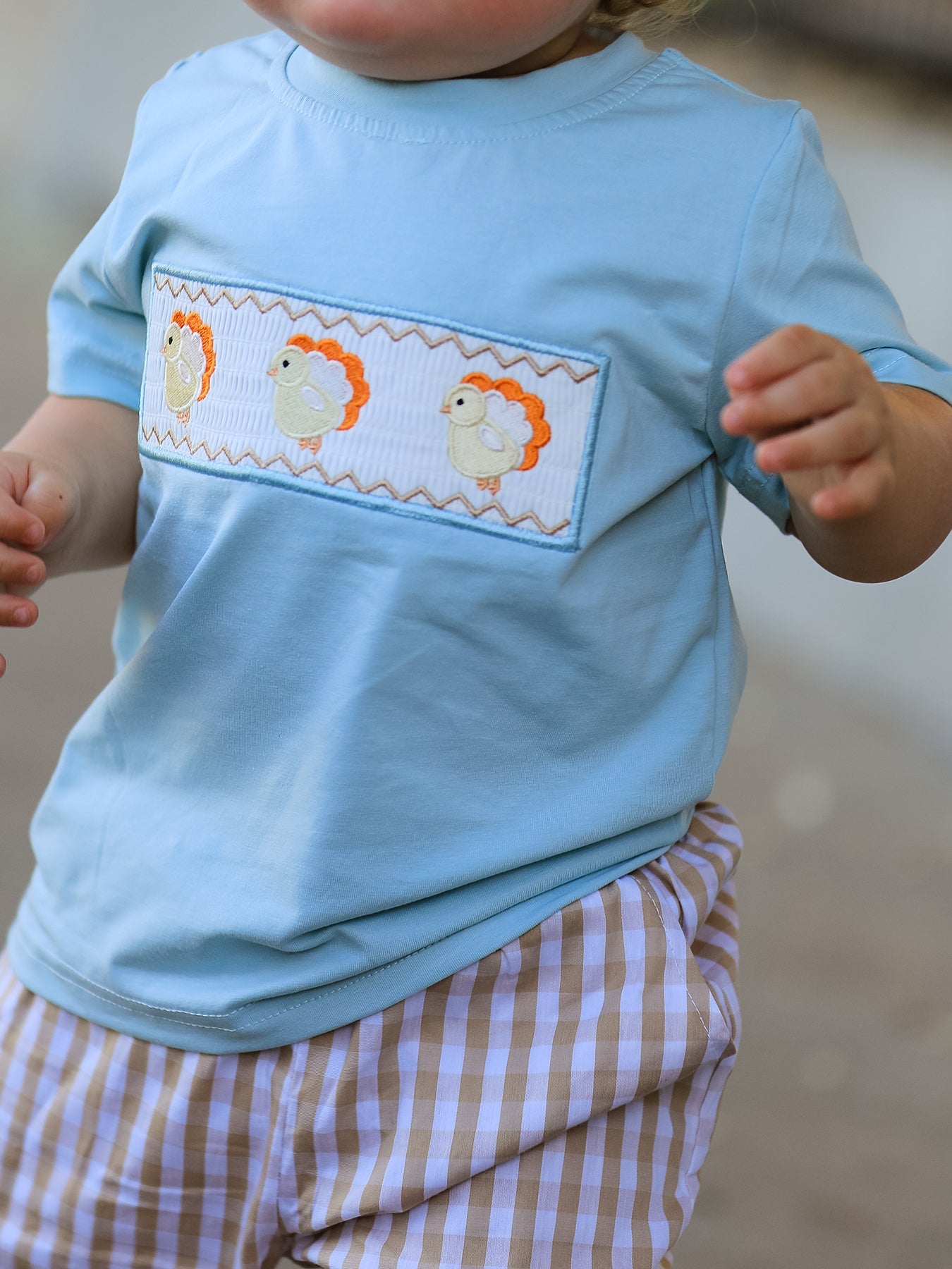 Fall Thanksgiving Plaid Chick Embroidery Smocking Boys Set