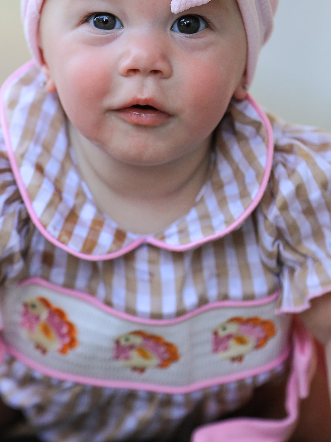 Fall Thanksgiving Lapel Plaid Chick Embroidery Smocking Bow Baby Girls Romper