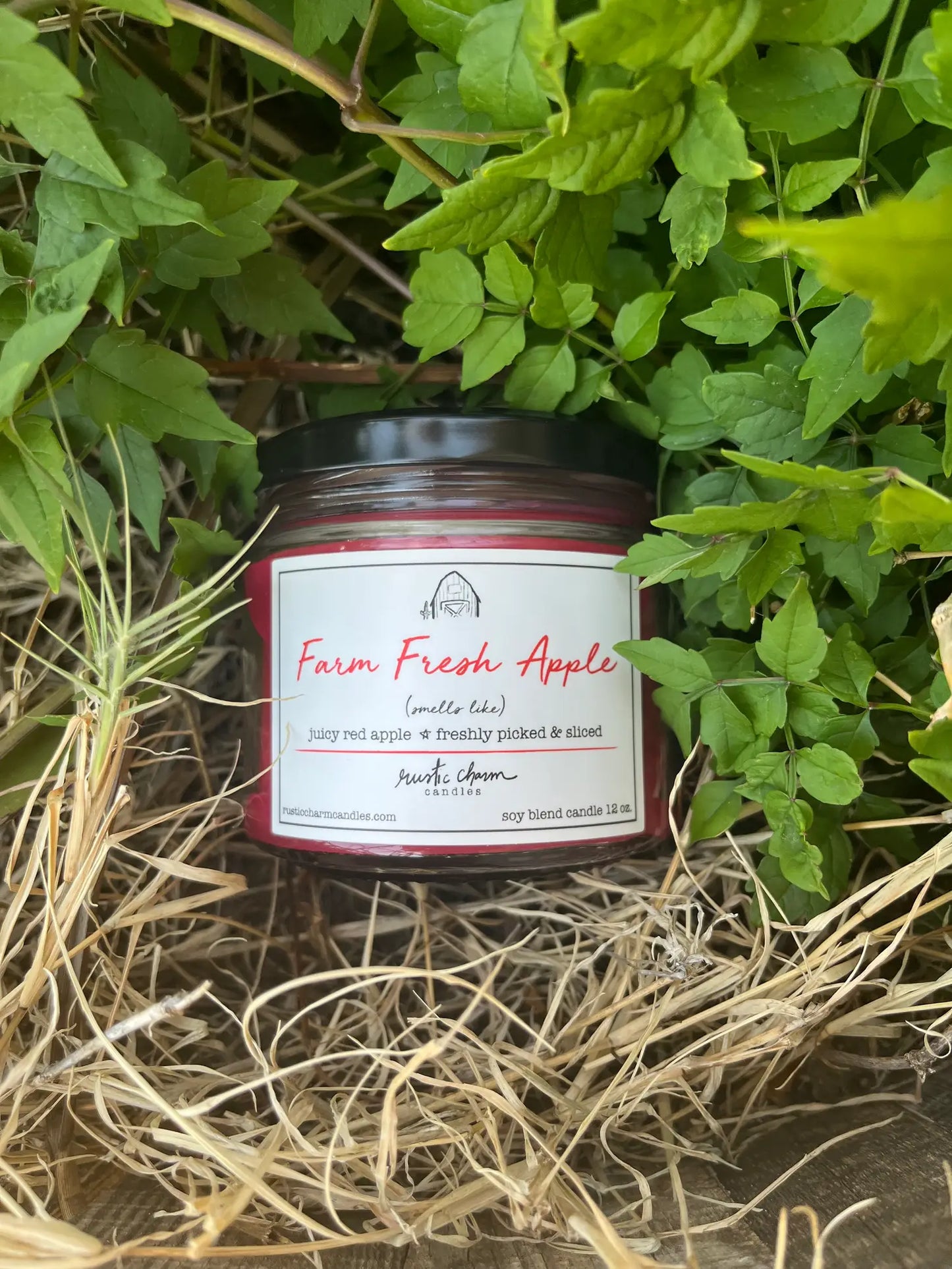 Farm Fresh Apple Candle - Cajun Cuties & Co