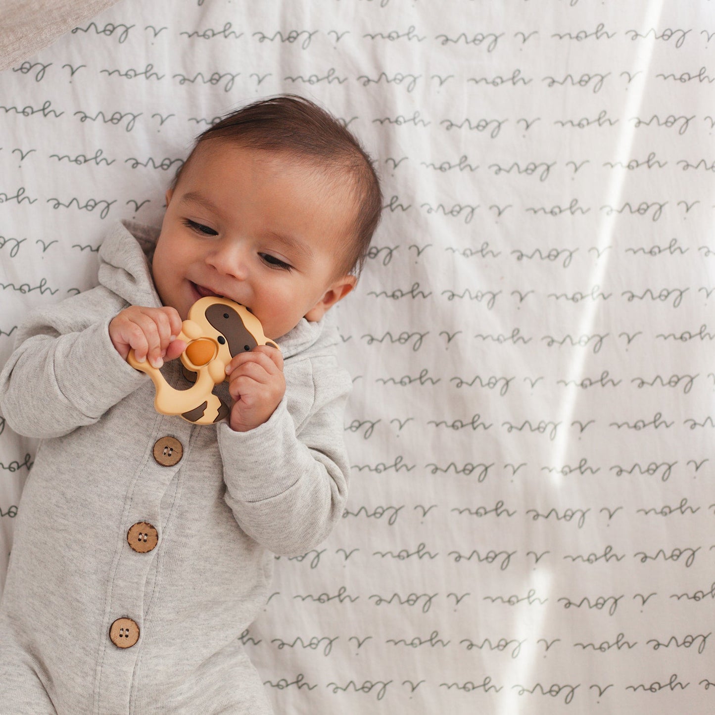 Raccoon Teether Set // Brown