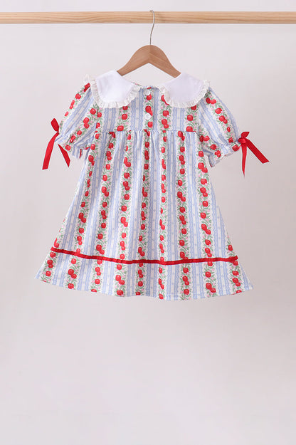 Red Apple Embroidered Dress