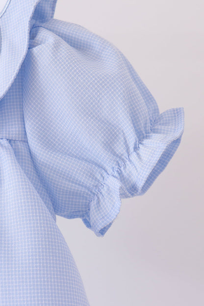 Blue turkey embroidery checkered dress