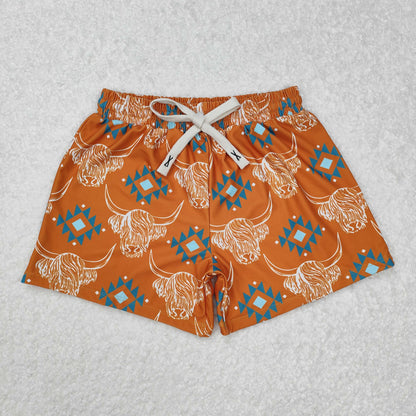 Sibling Baby Boys Cactus Cows Western Trunks Swimsuits